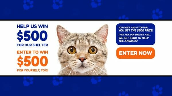 Animal Shelter Donations 820x461-Facebook Cover