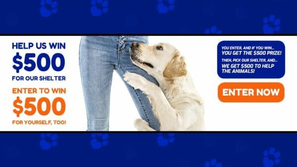 Animal Shelter Donations 820x461-Facebook Cover Dog