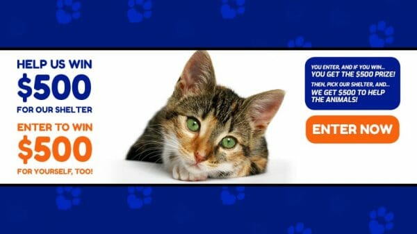 Animal Shelter Donations 820x461-Kitten Facebook Cover