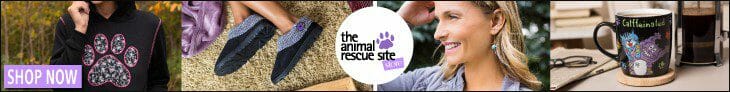 animal charities click to give free meals
