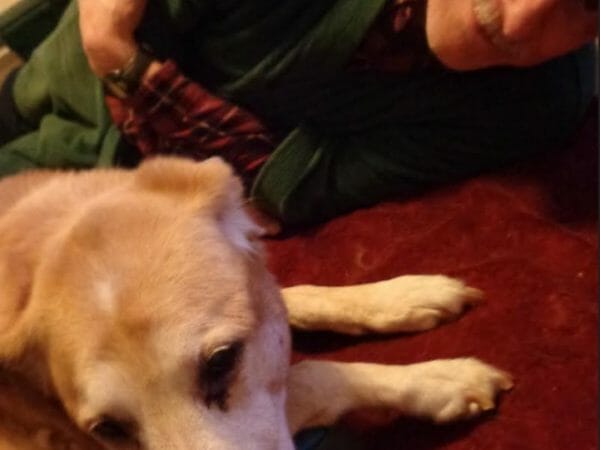 barkwiki animal shelter giveaway winner