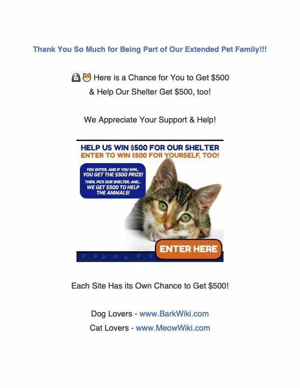 flyer2-cat
