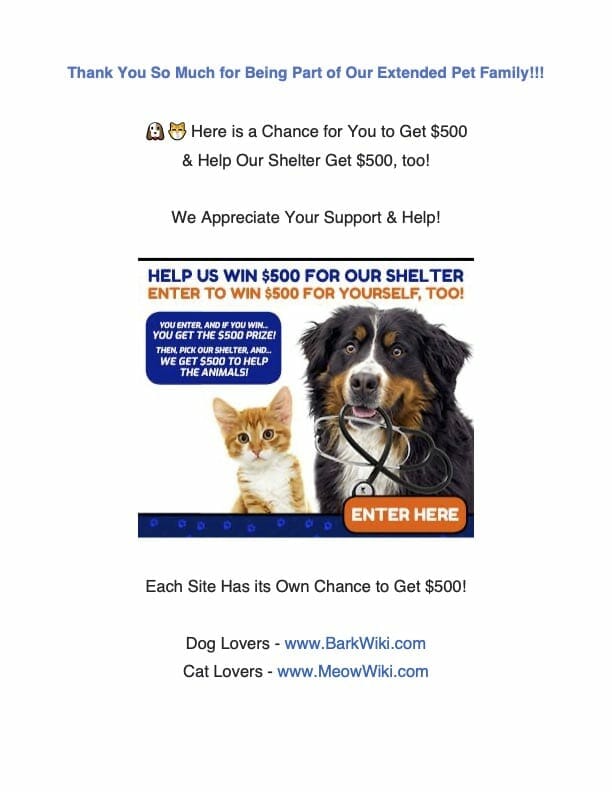flyer3-dogs-cats