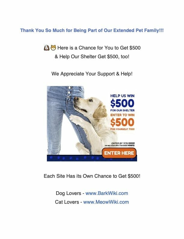 flyer4-dog