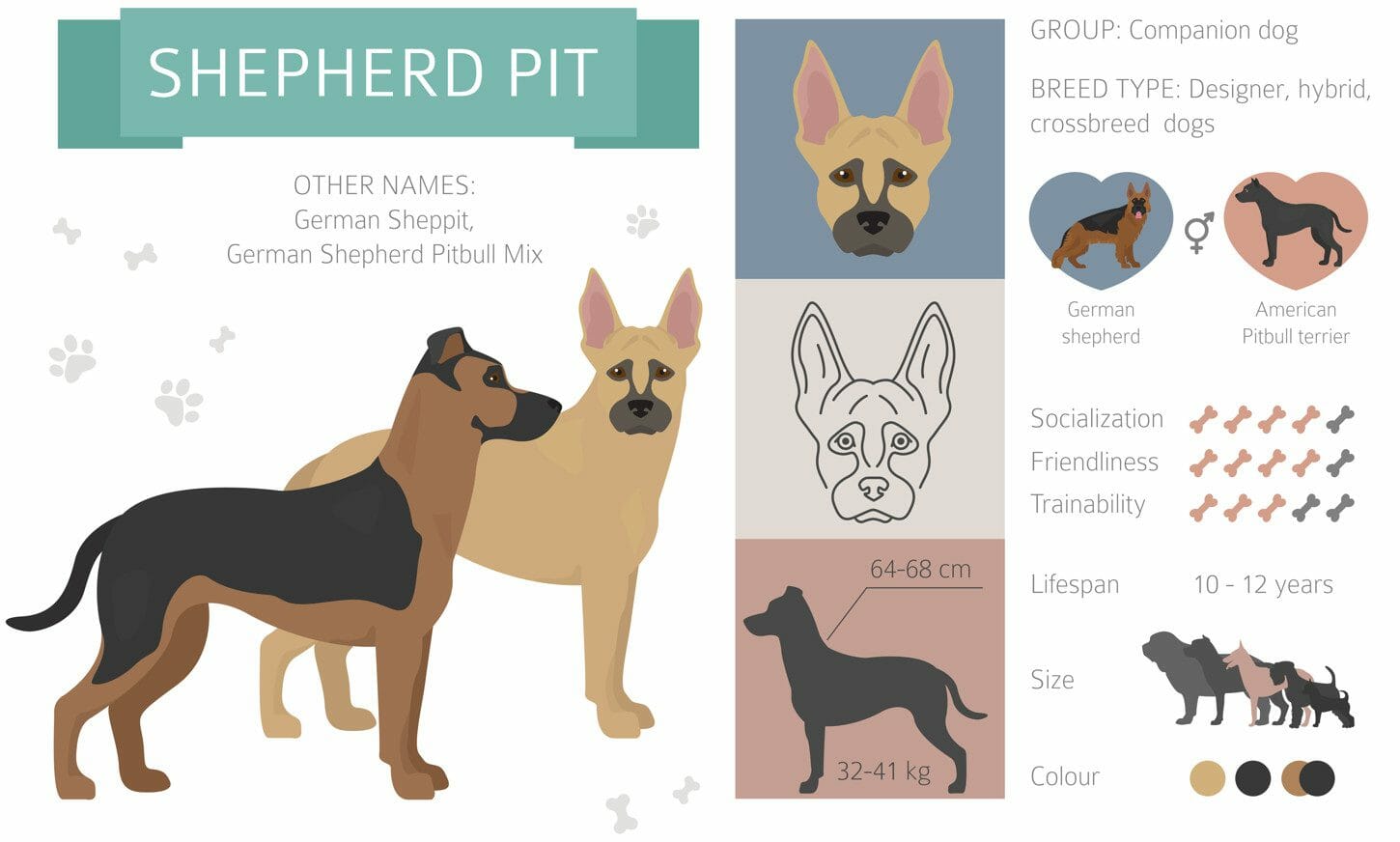 german shephard pitbull mix - pitbull german shepard mix