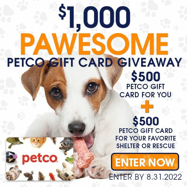 petco gift card dog giveaway